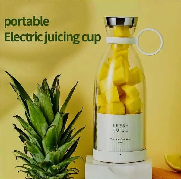 Mini Portable Blender WT Store